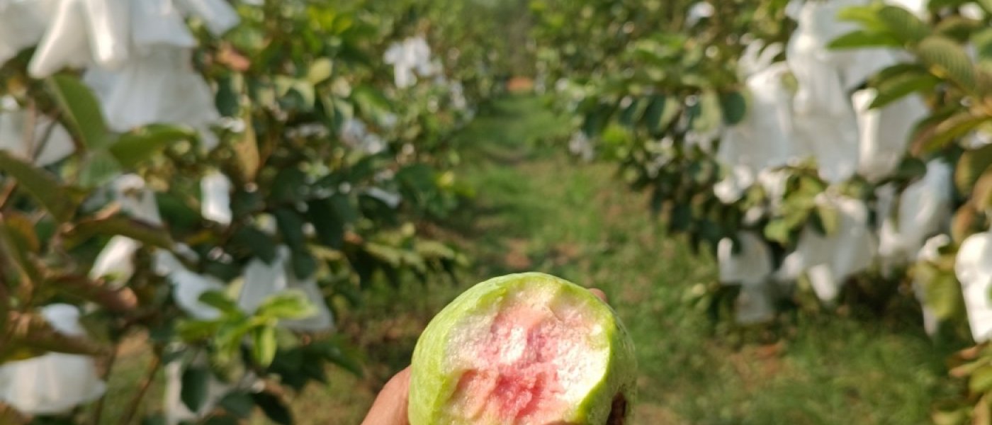 We all love it when it's pink 🩷