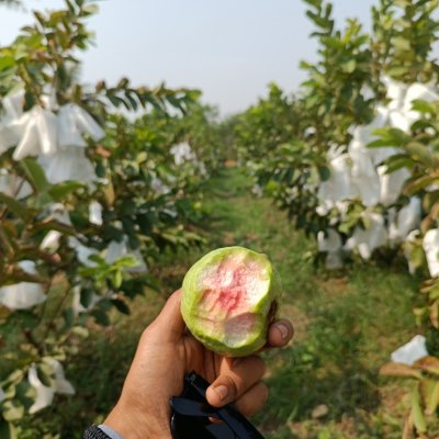 We all love it when it's pink 🩷