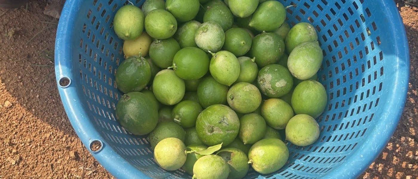 Lemons