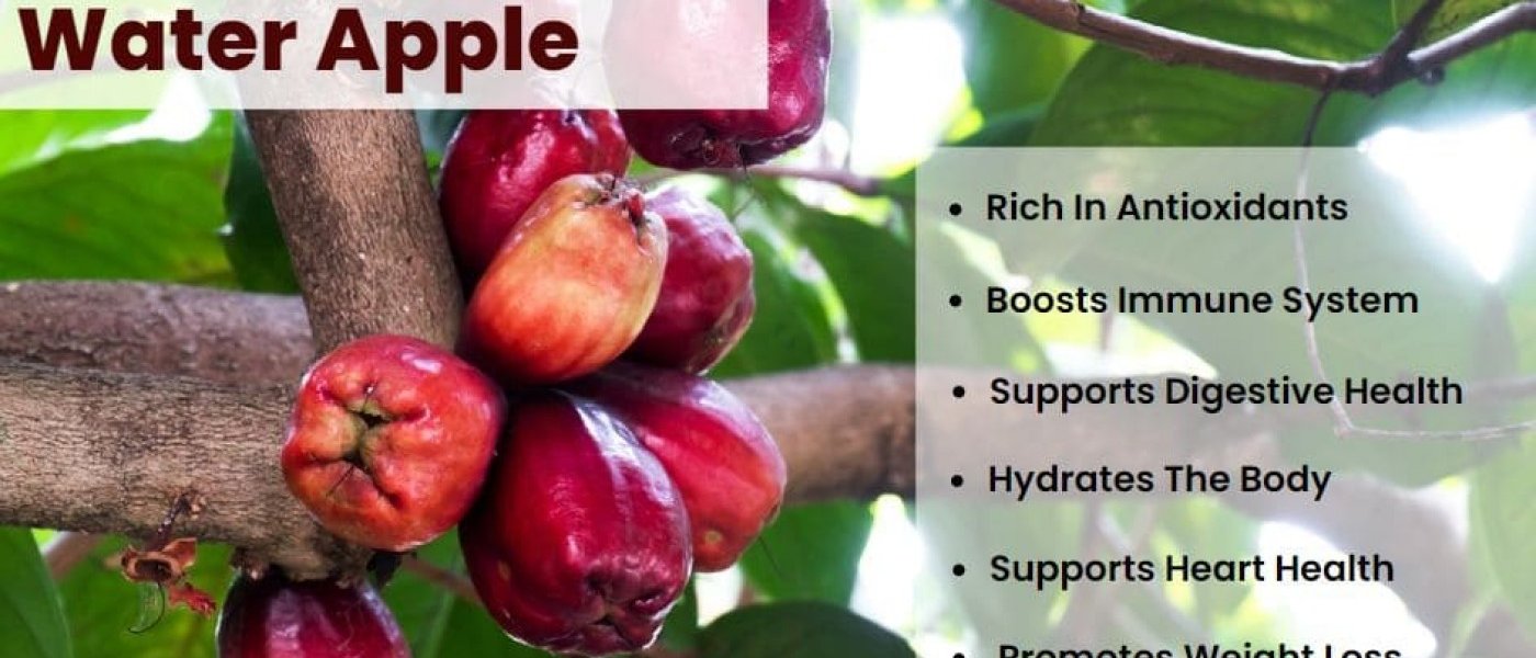 Healthy and tasty water apple