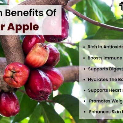 Healthy and tasty water apple