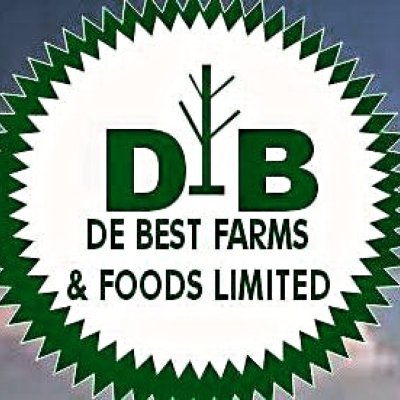 Charcoal, crop foods, poultry Farming, livestock Farming, fish farming, and beverages Production