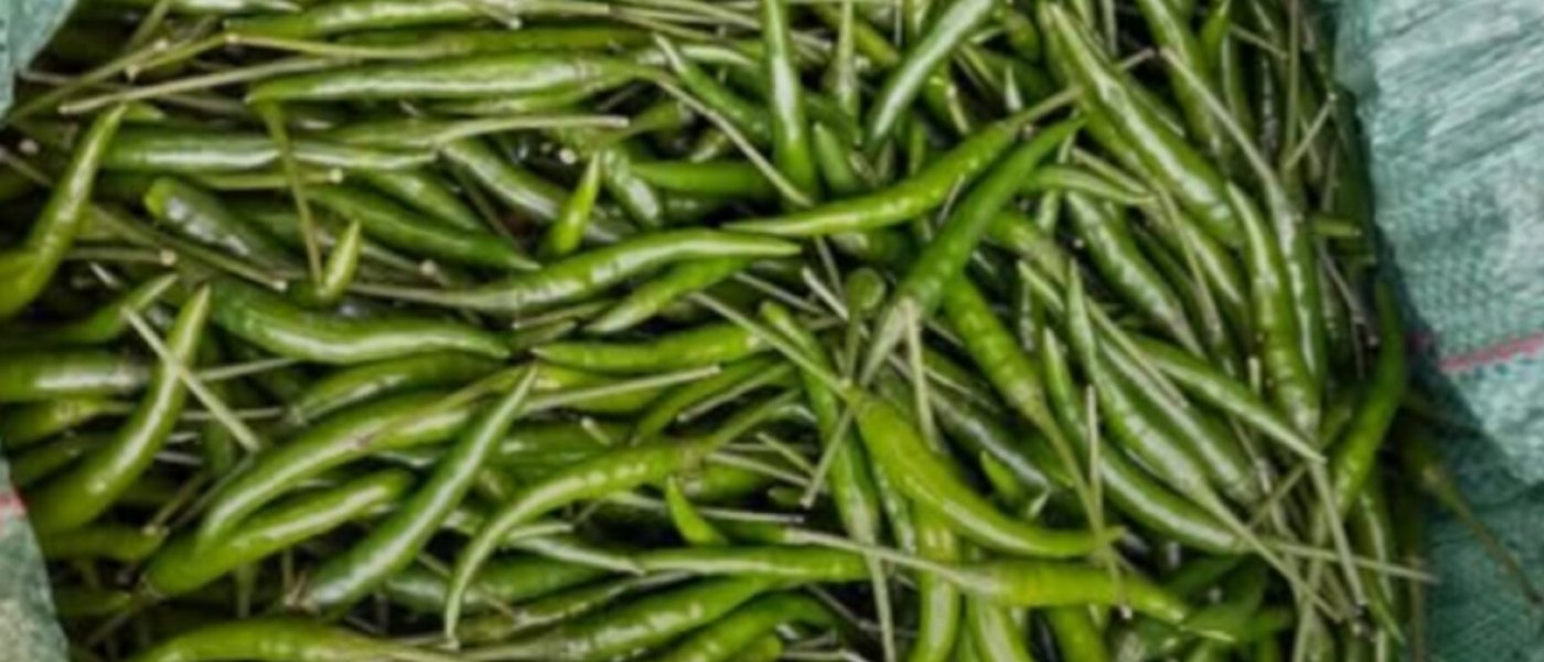 Fresh green peppers