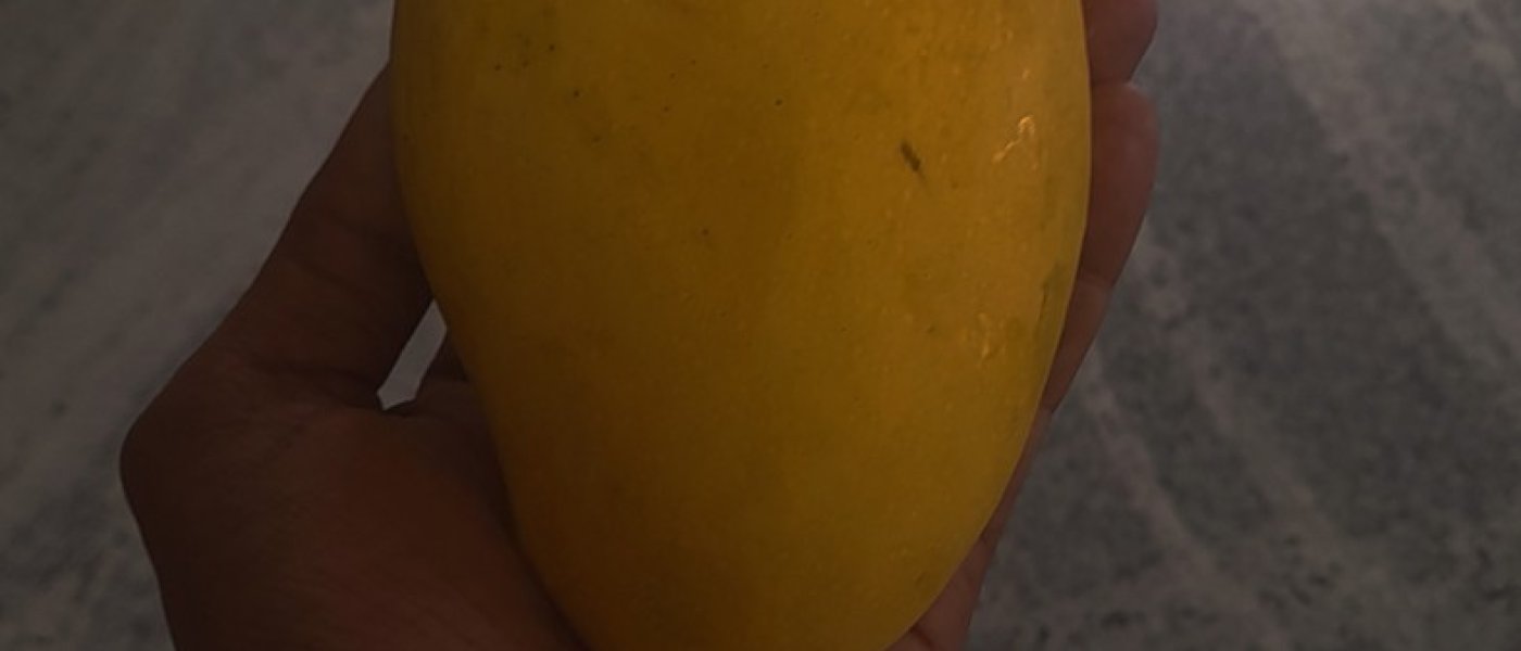 Delicious organic mangoes
