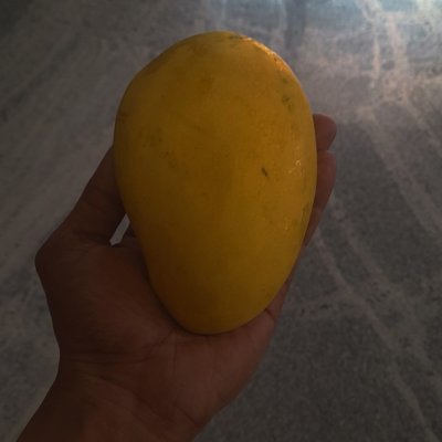 Delicious organic mangoes