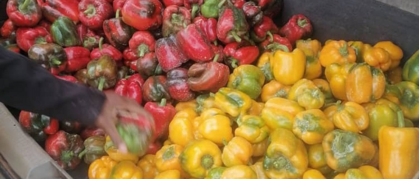 Fresh Sweet Pepper