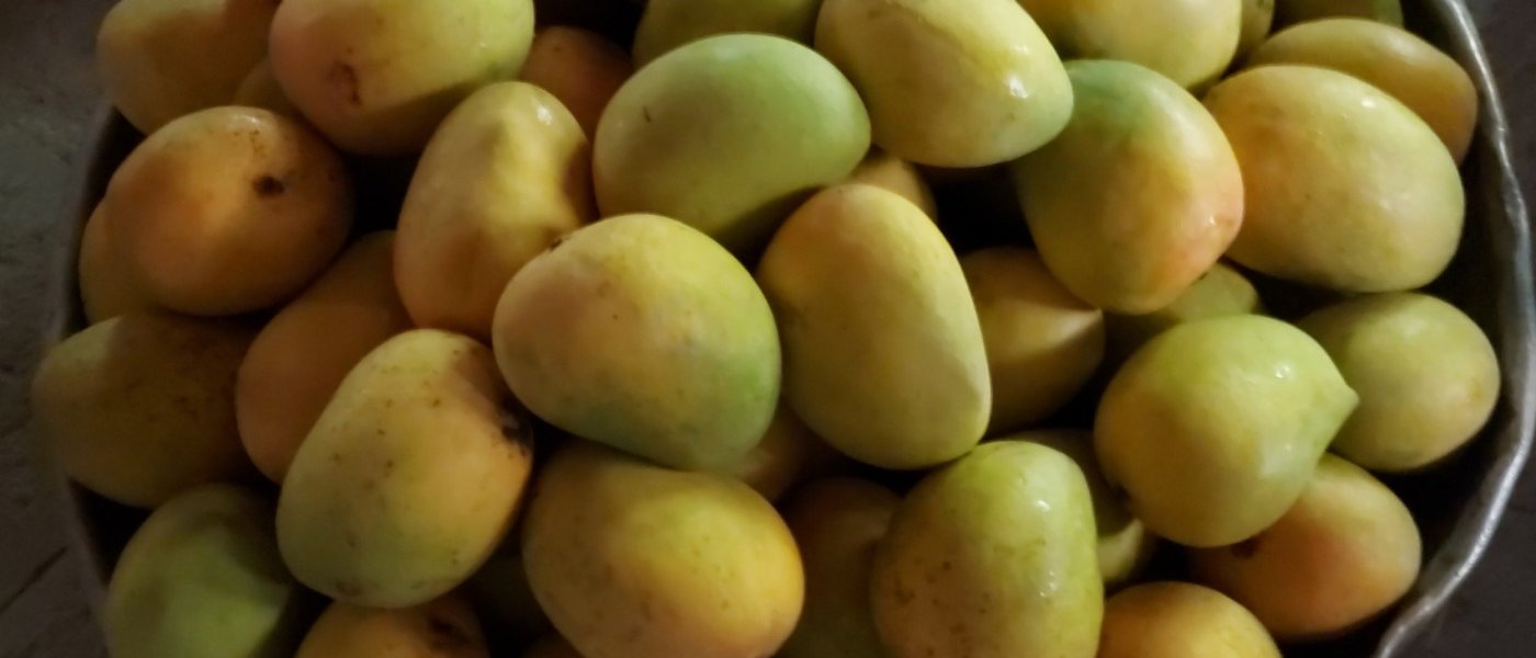 Fresh cut Alphonso mangoes