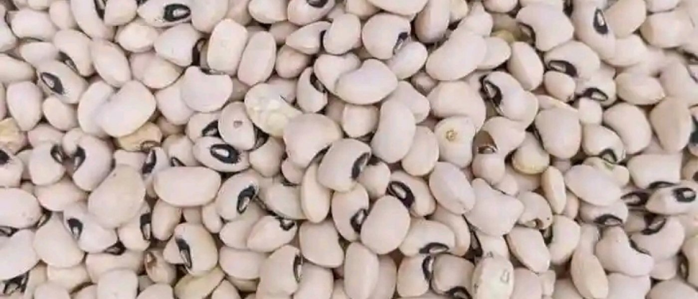 White Beans