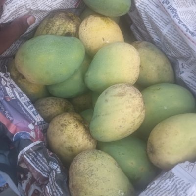 Mango 70/kg