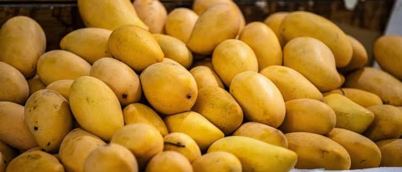 Banganapalle Mangoes