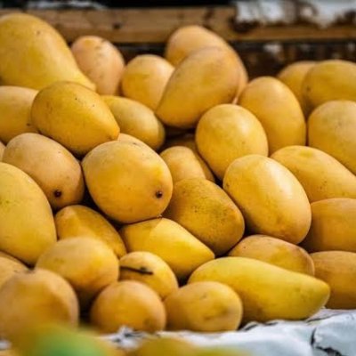 Banganapalle Mangoes
