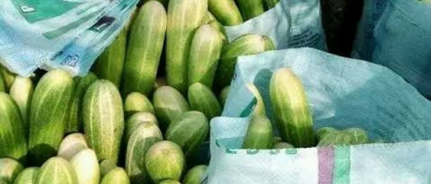 Cucumbers