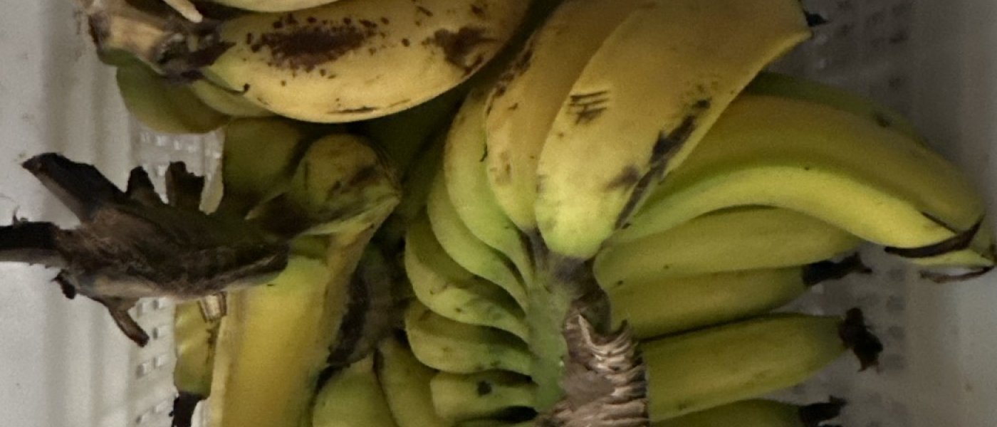 Banana