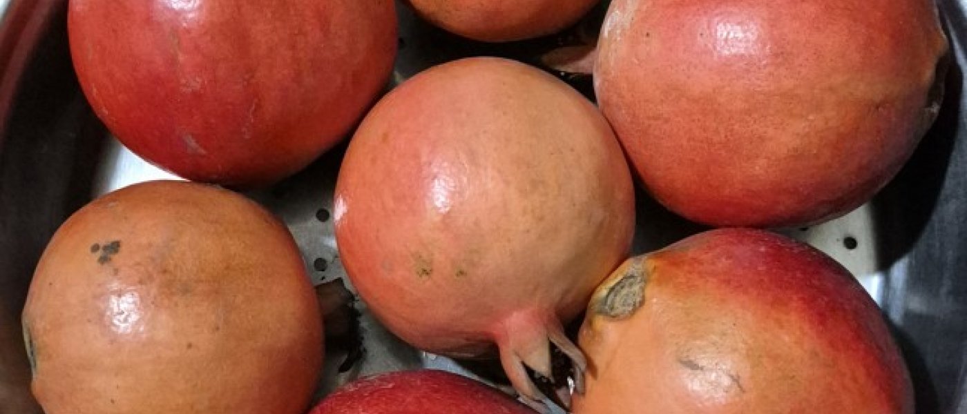 Pomegranate