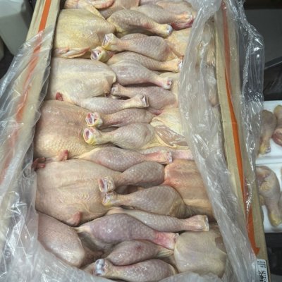 Freshly produced whole chickens