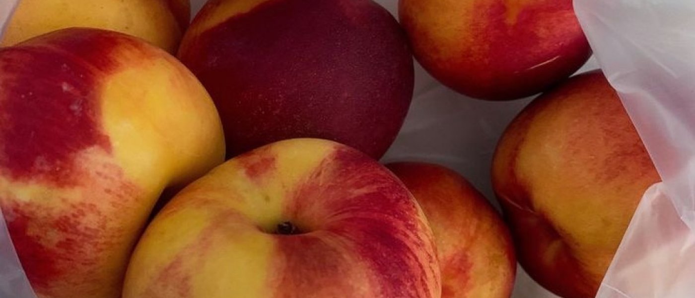 Nectarine
