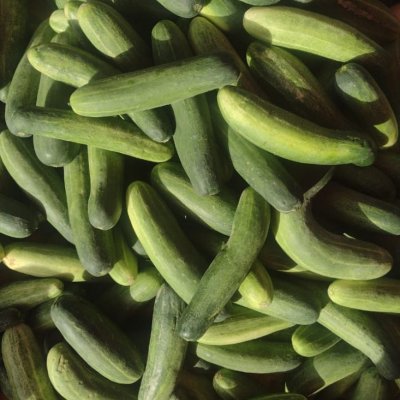cucumber