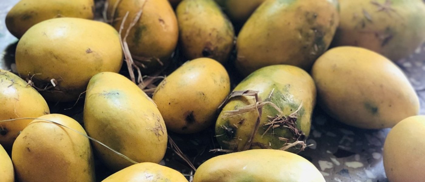 Delicious organic mangoes