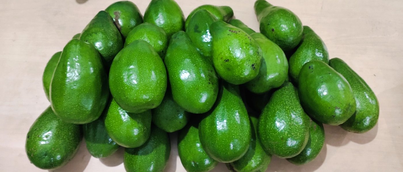 Avocadoes