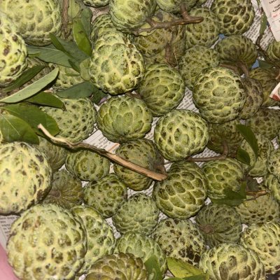 Custard apple