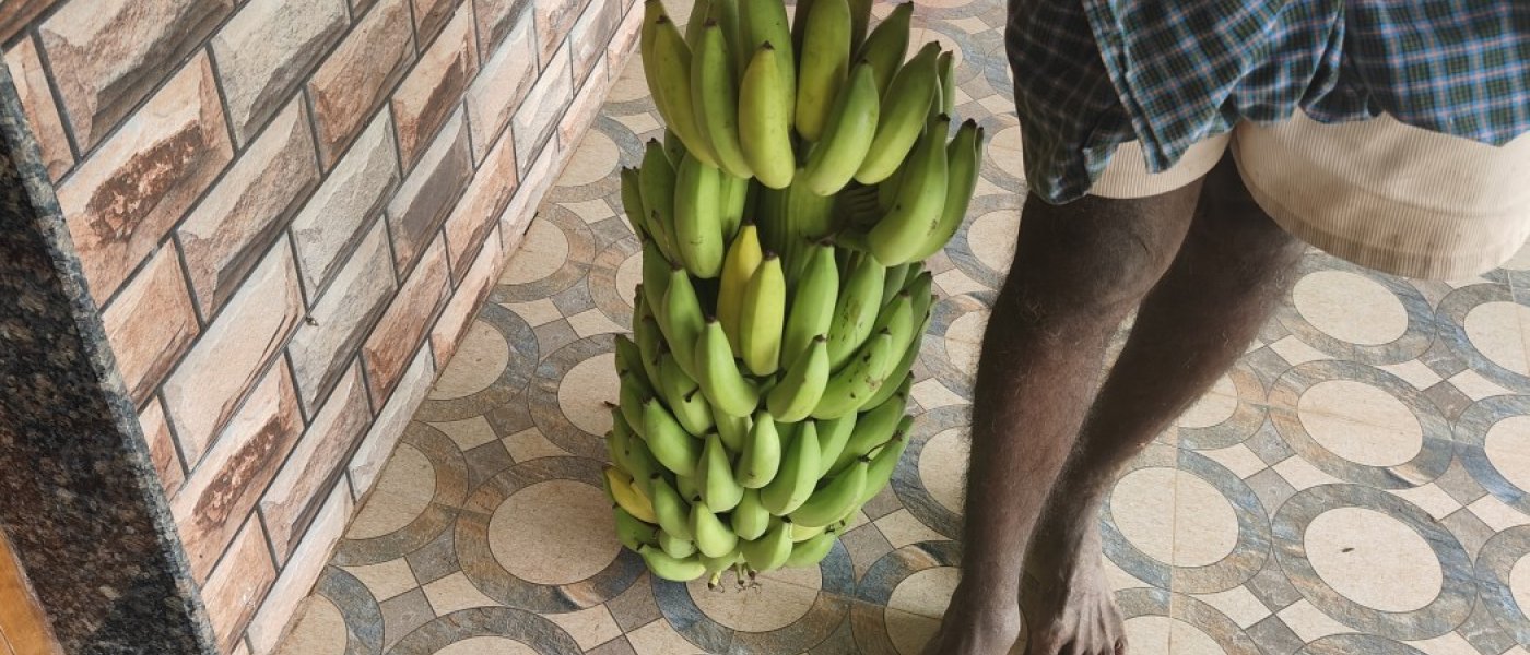 Elakki Banana