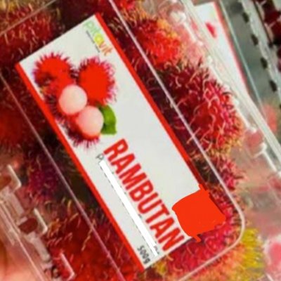 Farm fresh rambutan