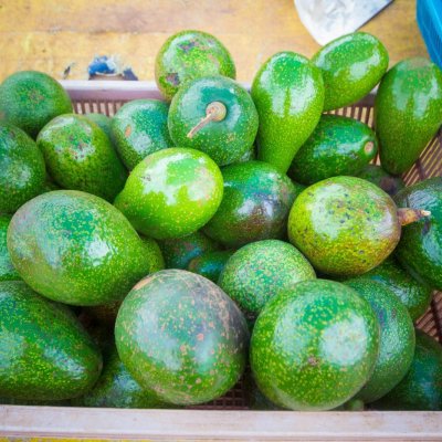 Avocado