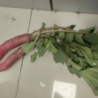 Red Radish