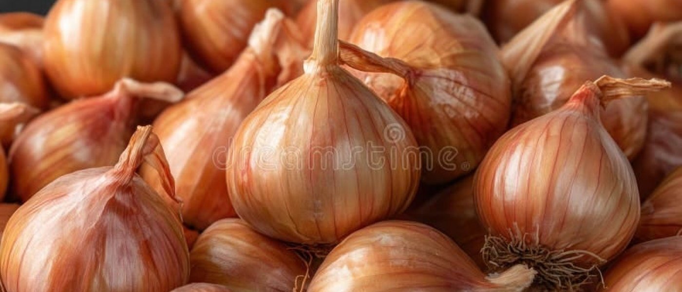 Onion