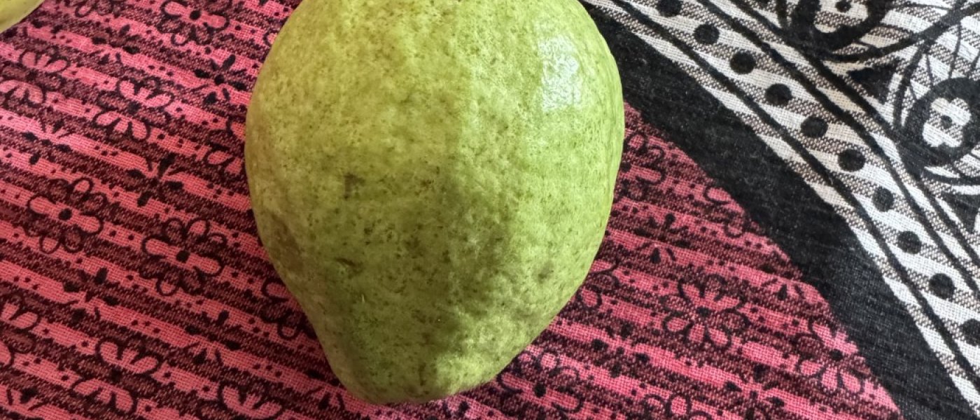 Guava
