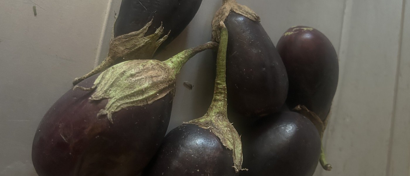 Eggplants(biriganyas)