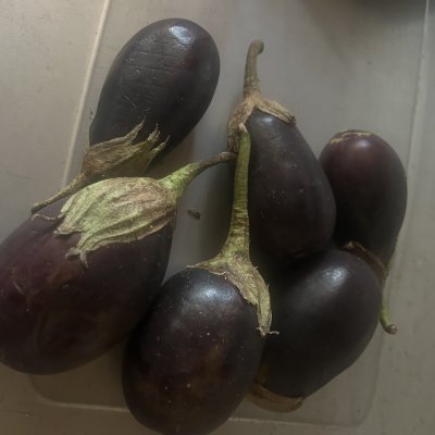 Eggplants(biriganyas)