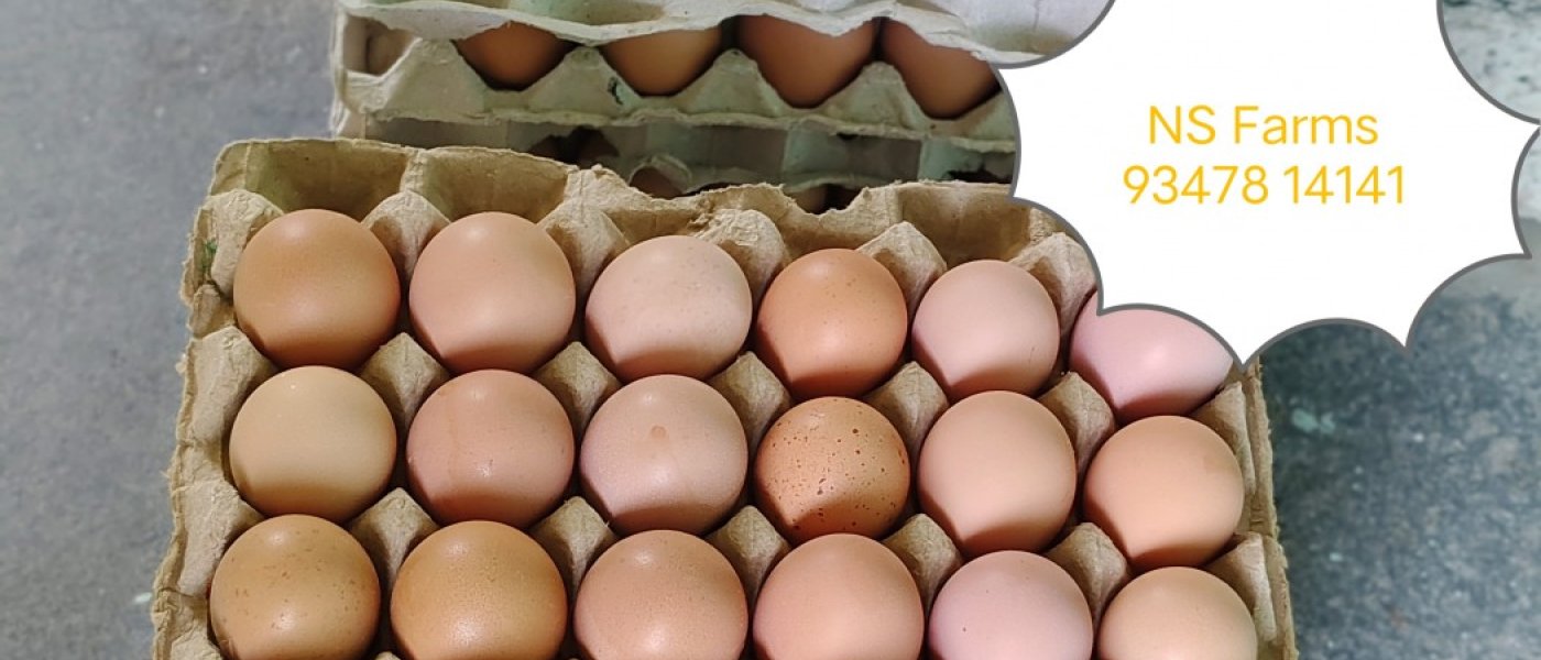 Brown Eggs