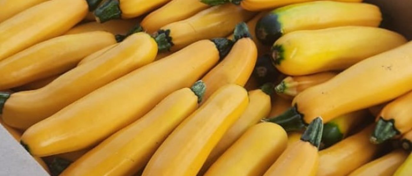Zuchini