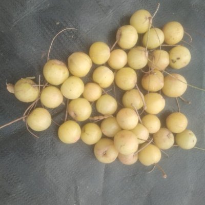 Amla fruits