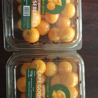Fresh Cape Gooseberries
