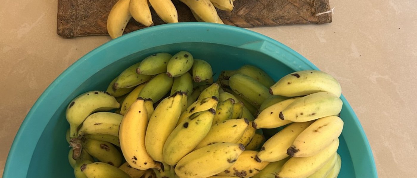 Organic banana