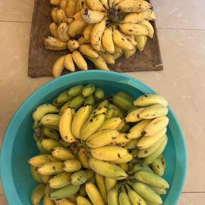 Organic banana