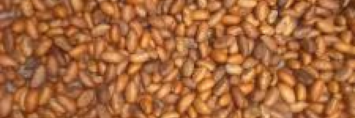 Eazylife agriculture