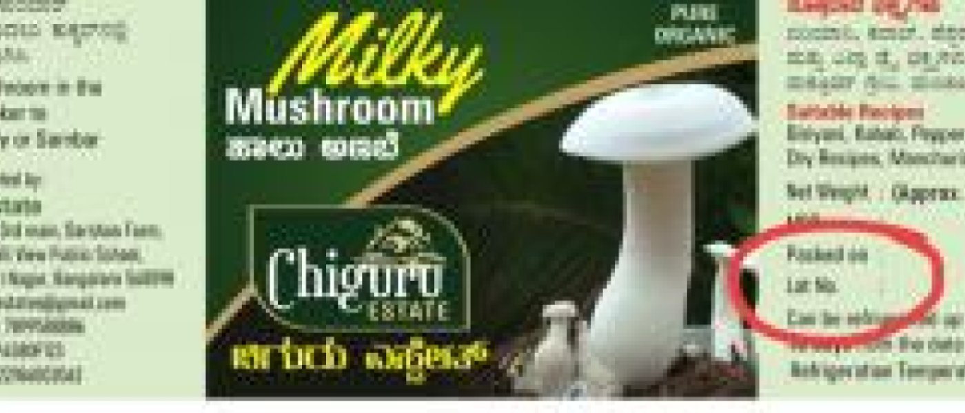 Milky Mushrooms
