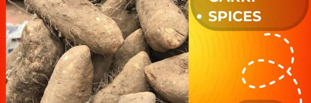 Mega Ace Enterprises