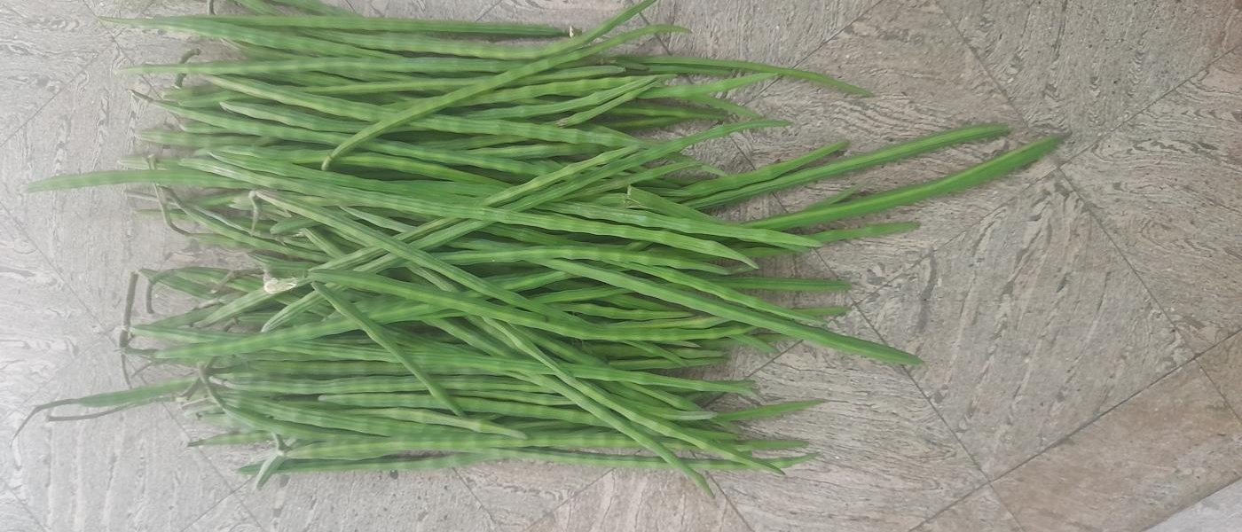 Drumstick vegetables