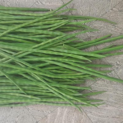 Drumstick vegetables