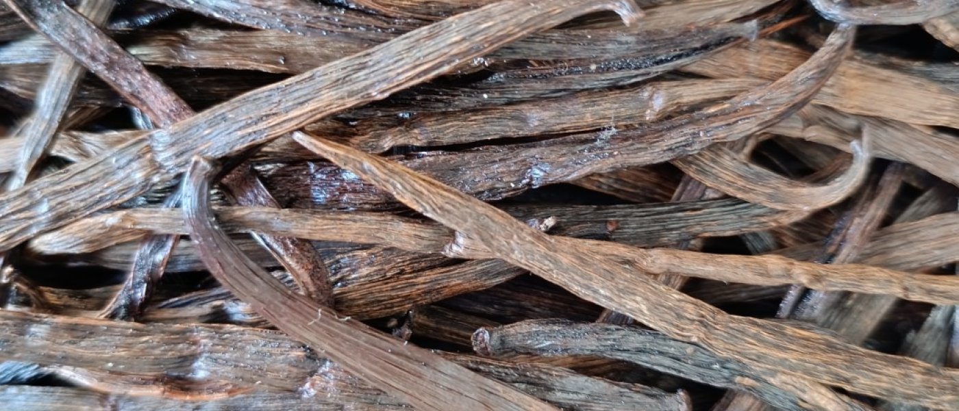 Vanilla Beans Grade B