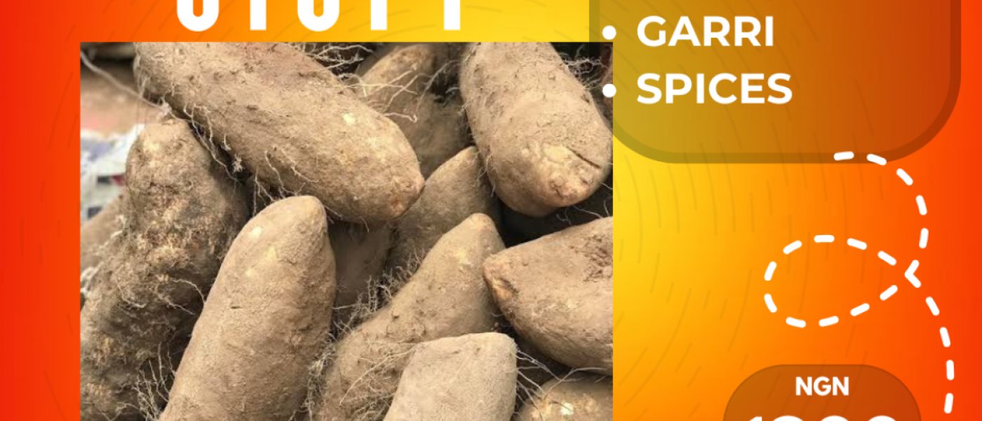 Benue, Plateau Yam, Nasarawa, Niger Yams & Cash Crops