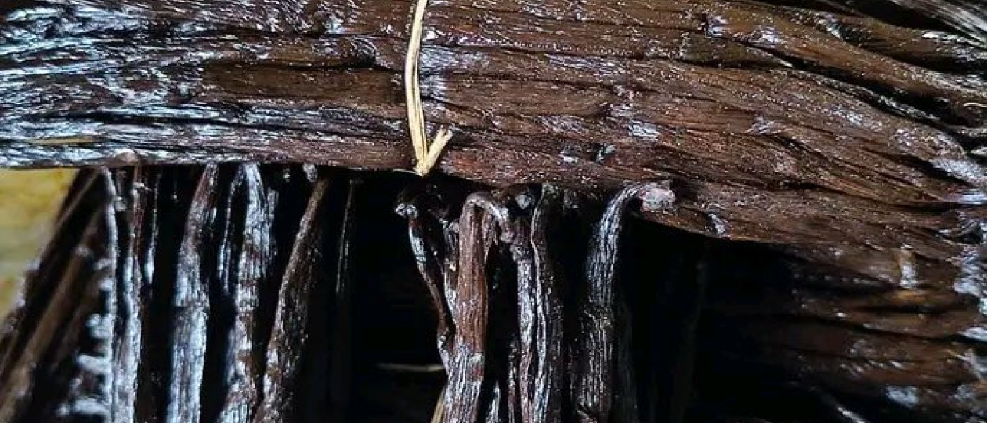 Organic vanilla pods
