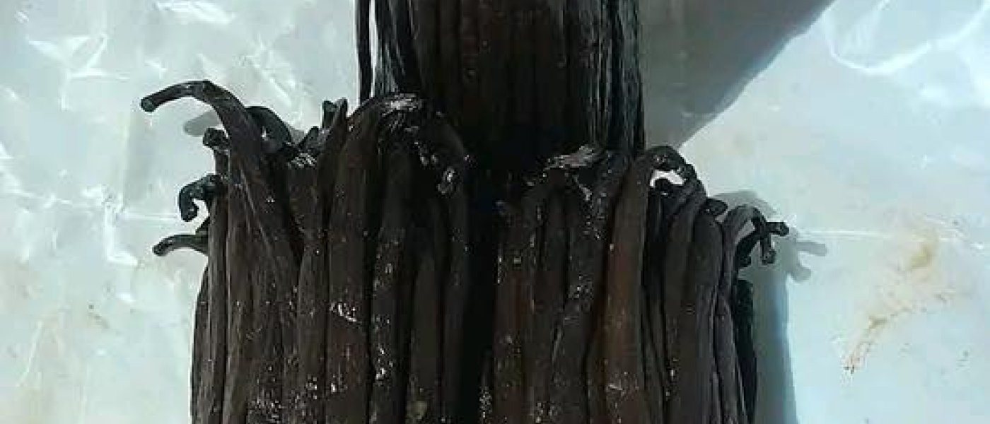 Organic vanilla pods