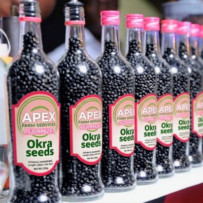 The Best Okra seeds Very affordable