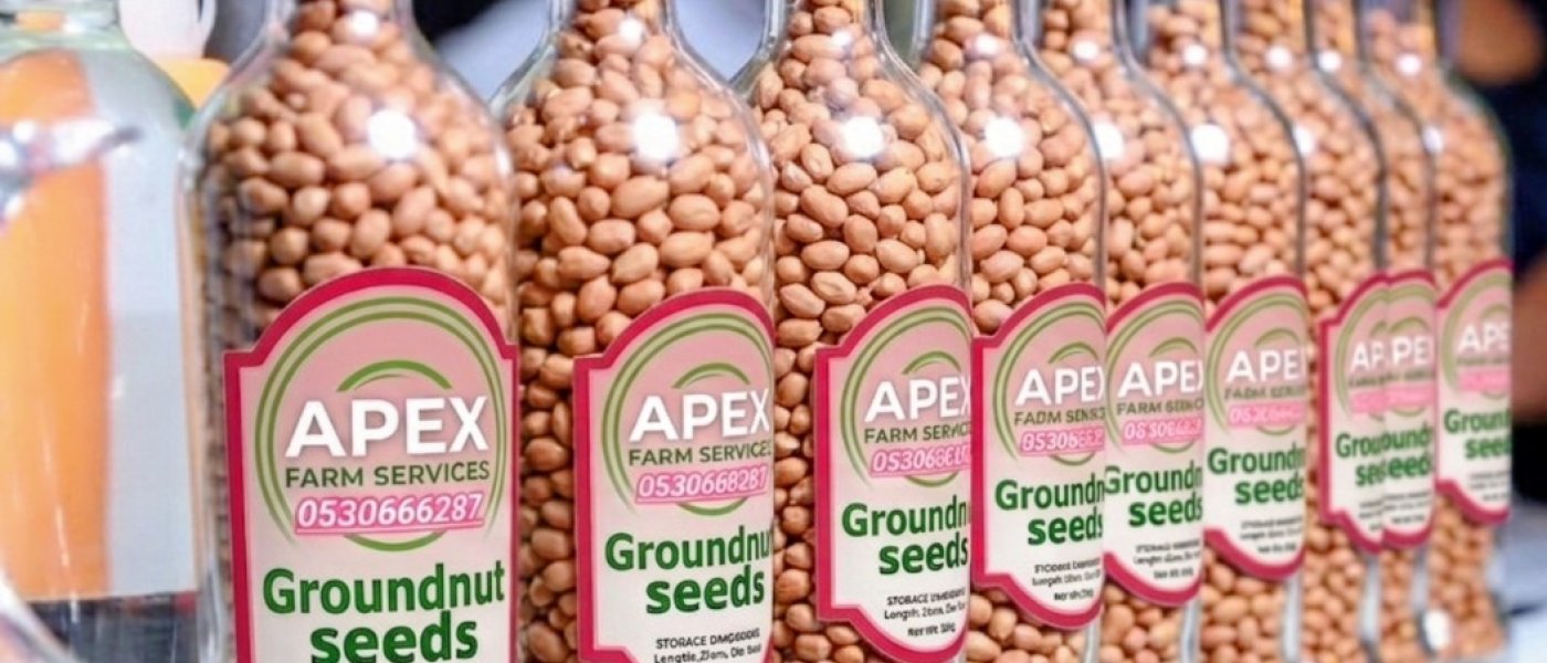 The world's Best Groundnut seeds available