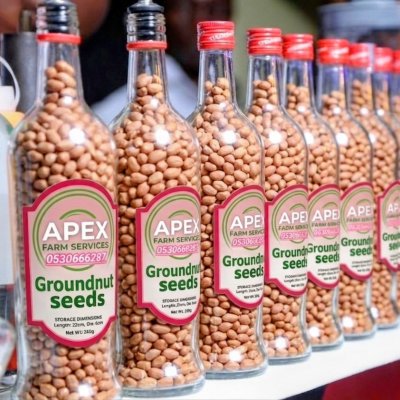 The world's Best Groundnut seeds available